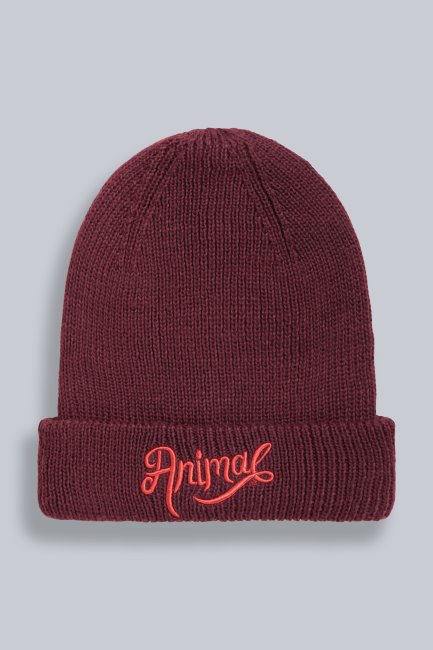 Animal Hayley Gerecyclede Beanie Voor Dames Mountain Warehouse Collectie Paars